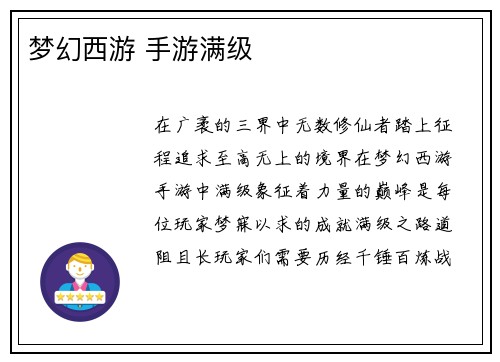 梦幻西游 手游满级
